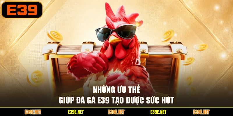 Những ưu thế giúp đá gà E39 tạo được sức hút
